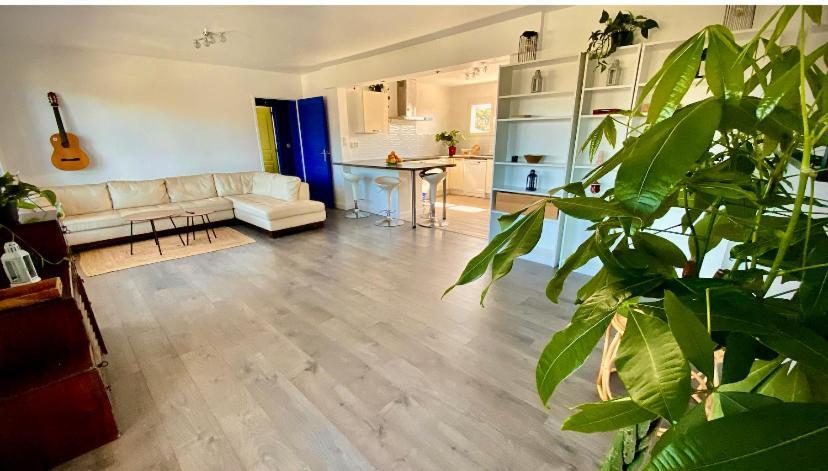 Sewa Surf House 10Min De Capbreton Hossegor Hotel Benesse-Maremne Exterior photo